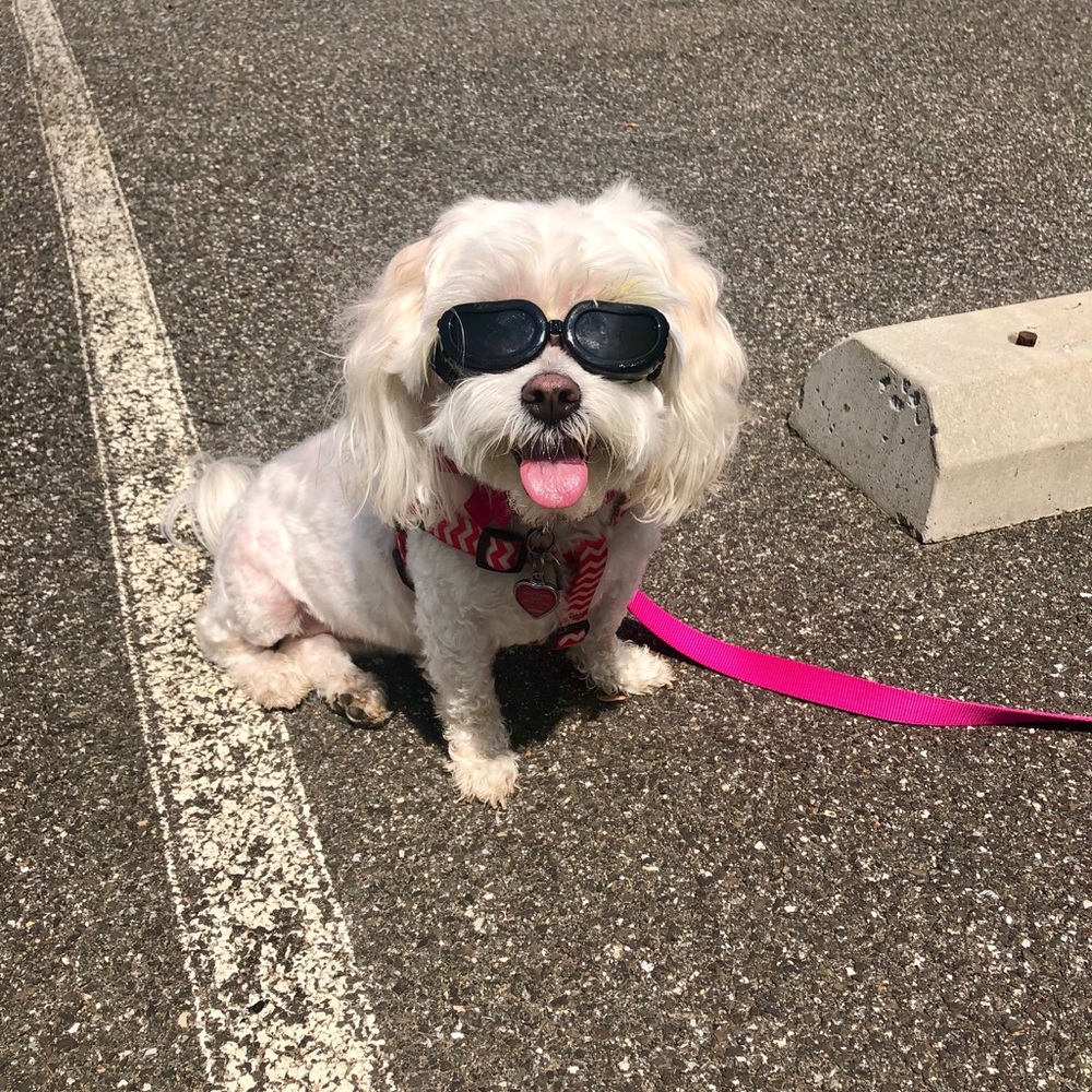 Meet your Posher, Nikki